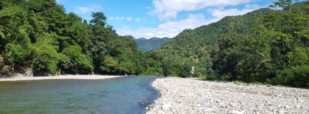 The Raajas - Camp & Resorts, 白洲 — 照片 1