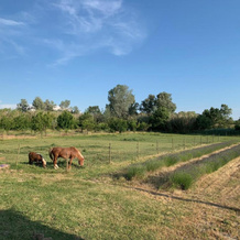 Lauliere, Richerenches — photo 3