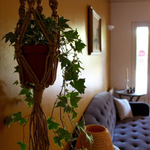 Hôtel Les Oliviers, Драгиньян — фото 5