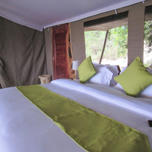 Ahadi Mara Camp, Мара Рианта — фото 5