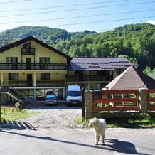 Pensiunea Ciobanelu, Войняса — фото 5
