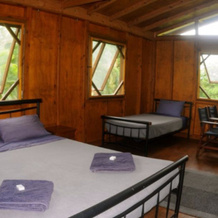Daintree Rainforest Bungalows, Cow Bay — photo 2