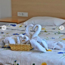 Linfer Otel, Стамбул — фото 4