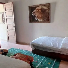 Riad dar chenguiti, Taroudant — photo 3