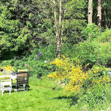 Country Cottage Near Ullared, 乌拉勒德 — 照片 5