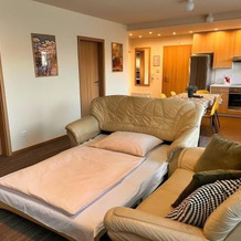 Apartmany Veka, Велка Ломница — фото 5