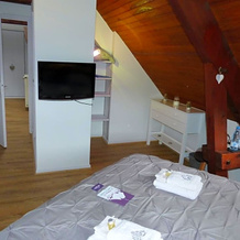 Les Chambres Du Gave D'Ossau, 阿吕迪 — 照片 3
