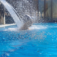 Terme Preistoriche Resort & Spa, Montegrotto Terme — photo 3