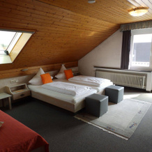 H41 Inn Freiburg, Gundelfingen — photo 5