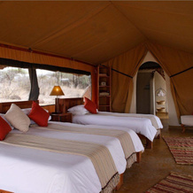 Elewana Lewa Safari Camp, 梅鲁 — 照片 3