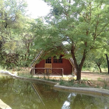Modikgweng Lodge, Босхук — фото 5