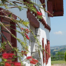 Ferme Urkodea, Hasparren — photo 5