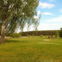 Landhotel Am Peetscher See, Mirow — photo 4