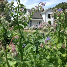 The Rustic House of the Fjord, 圣罗斯迪诺尔 — 照片 4