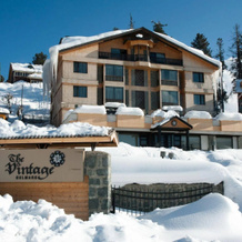 The Vintage Gulmarg, Гульмарг — фото 3