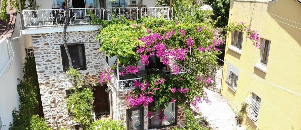 Lemon Villa Hotel - Adult Only, 阿拉尼亚 — 照片 1