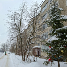 Family near the railway station Kolomna Flat, 科洛姆纳 — 照片 2