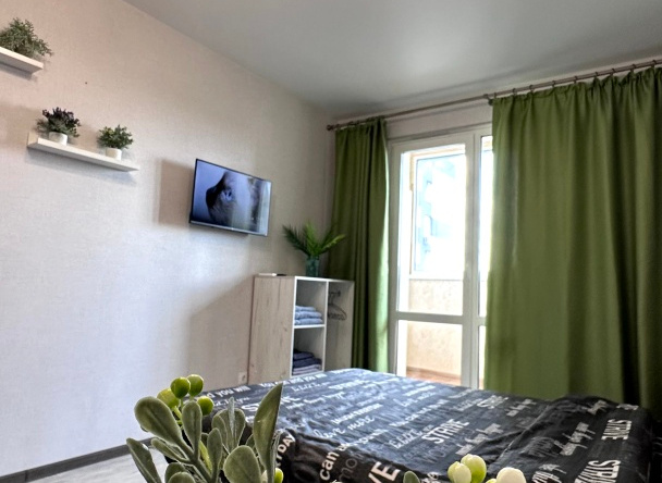 Belaya Studiya Flat, Yuzhniy Gorod-2 — photo 1
