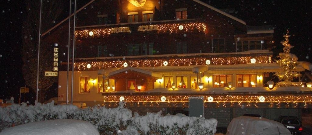 Hotel Adler, Зигрисвиль — фото 1