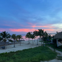 Hotel Playa Coco, 可可岛 — 照片 5