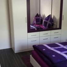 Ferienwohnung "Am Vaterlandsgrubenweg", 埃尔施尼茨 — 照片 2