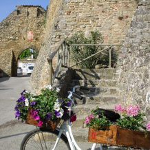 Umbria nel cuore, Cannara — photo 3