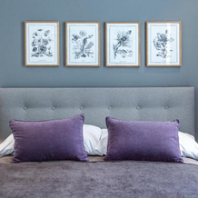 sgrafit apartments, 雷茨 — 照片 2