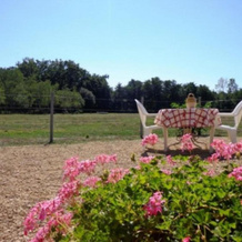 Gîte Saint-Julien-en-Born, 1 pièce, 2 personnes - FR-1-360-465, 圣于连昂博恩 — 照片 2