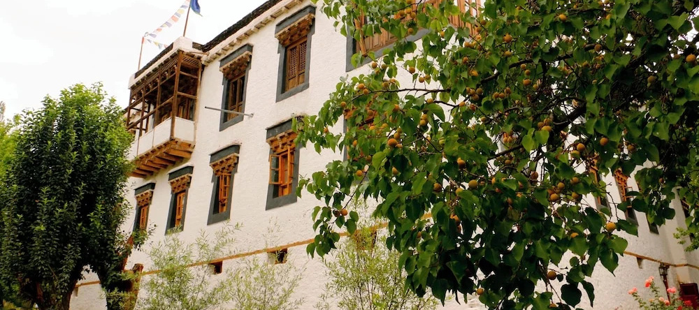 Nimmu House Ladakh, Leh — photo 1