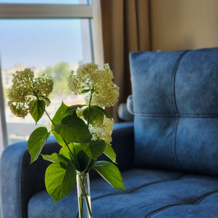 S Saunoy Flat, Murom — photo 5