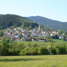 Pension Wastlhöhe Hohenwarth, 霍恩瓦特 — 照片 3