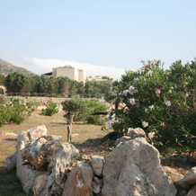 Residence Punta Longa, Favignana — photo 5