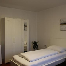 Damhirsch, Neustadt am Ruebenberge — photo 4