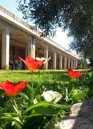 Agriturismo Le Vedute, Bisceglie — photo 1