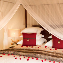 Royal Madikwe Game Lodge, 马迪克韦野生动物保护区 — 照片 3