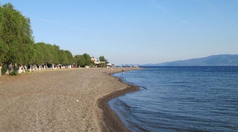 Agrikia In Evia, 吉姆诺 — 照片 1