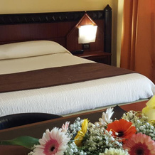 Hotel Motel Flower, Novi Ligure — photo 3