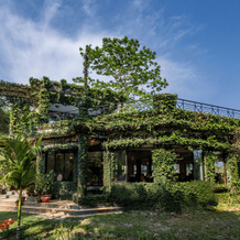 The Riverwood Forest Retreat- Dooars, 南杜普乔拉 — 照片 2