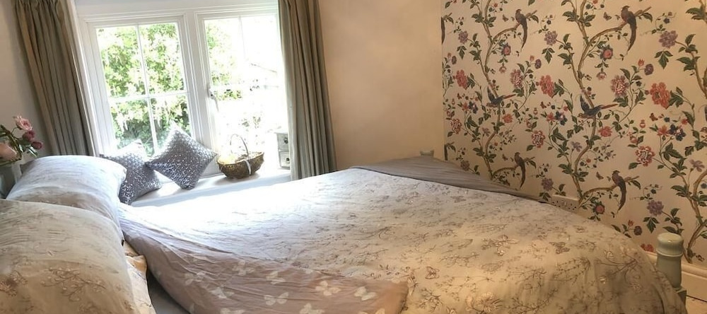 Forest view Bed and Breakfast, 斯特明斯特牛顿 — 照片 1