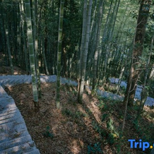 Youtangu Holiday Hotel (Huangshan Huizhou), 黄山 — 照片 4