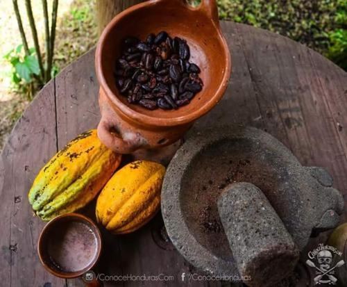 Cabañas Finca Santa Martha, 洛斯纳兰霍斯 — 照片 1