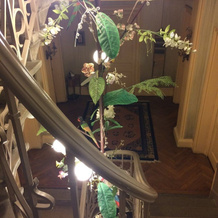 VILLA CASTEL Maison d'hôtes & Jardin de Cuisine Vivante, 里约拉帕普 — 照片 4