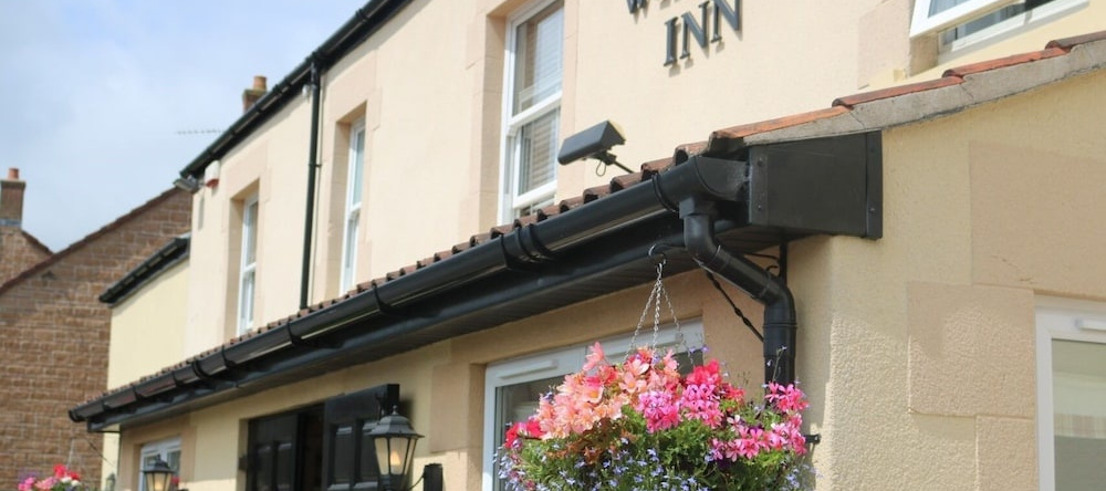 King William inn, 坦利 — 照片 1