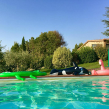Agricola Caicucci, Montone — photo 4
