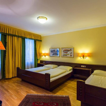 Hotel Gösser Bräu, Вельс — фото 5