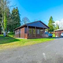 Birch Plus Lodges, 明尼加夫 — 照片 4