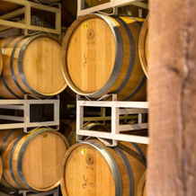 Quidni Estate Winery, 彭蒂克顿 — 照片 5