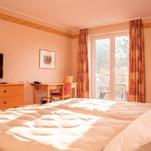 Hotel Löwenstein, 盖罗尔施泰因 — 照片 5