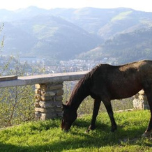 Agriturismo Re Piano, 莫迪利亚纳 — 照片 4