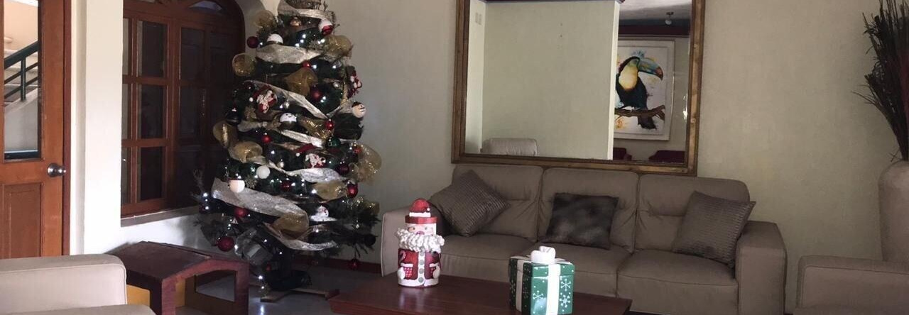 Hotel Jacqueline, Rincon de Guayabitos — photo 1